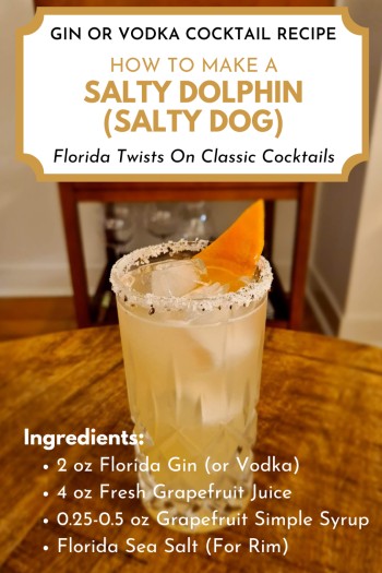 Salty Dolphin Cocktail Pin for Pinterest