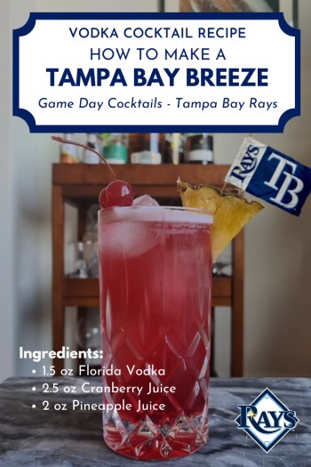 Tampa Bay Breeze Pin For Pinterest