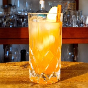 Fall Gin Fizz Cocktail